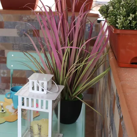 Апартаменты Center Every Comfort *